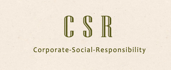 EcoVadis认证企业社会责任CSR咨询