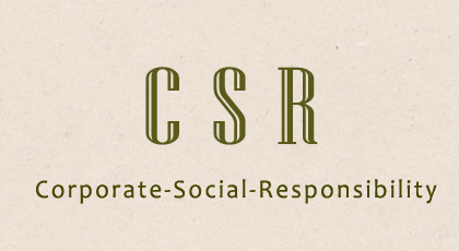企业社会责任csr
